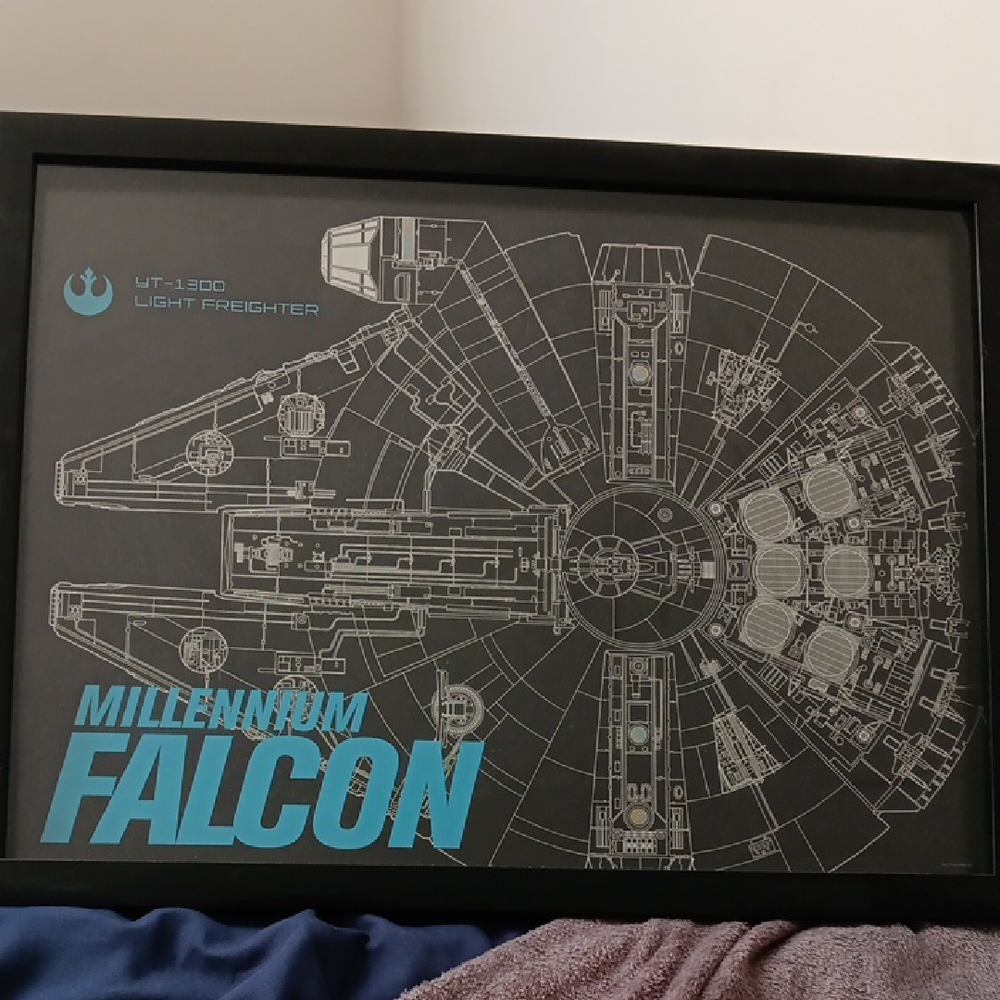 Star Wars Millennium Falcon Framed Art